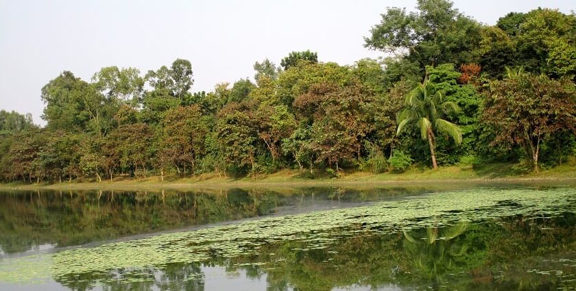 Scenic view of Ramsagar Wildlife Sanctuary, showcasing its lush landscapes and wildlife.