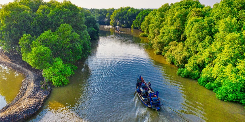 Rani Tal draws a variety of birdwatchers into it, especially during the migratory season.