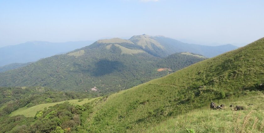 Picturesque view of the rolling meadows of Ranipuram trekking trails