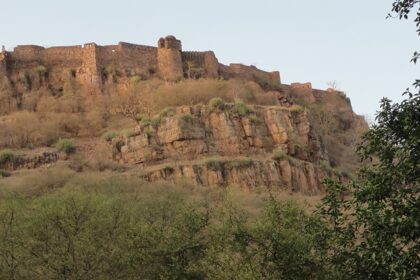 Fort of Ranthambore as visible from Ranthambore National Park, one of the places to visit in Ranthambore