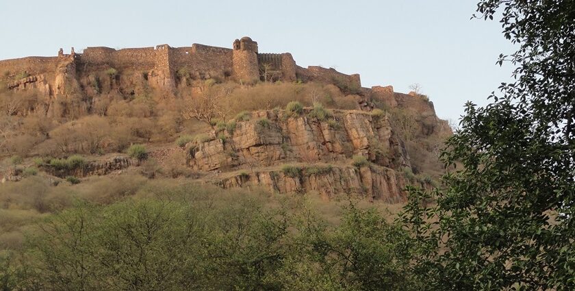 Fort of Ranthambore as visible from Ranthambore National Park, one of the places to visit in Ranthambore