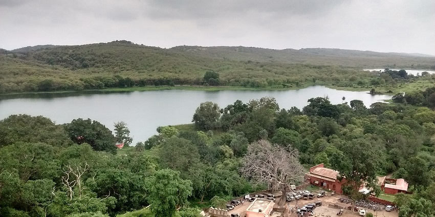 Explore Ranthambore’s tigers, landscapes, and vibrant bird species on safari.