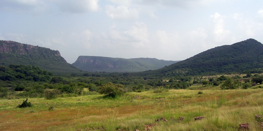 The Ranthambore National Park, a famous tourist place in Rajasthan to visit in January