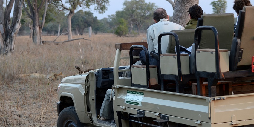 Jeep safari in Ranthambore offers thrilling wildlife and scenic views.