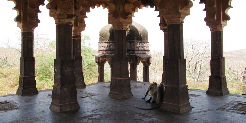 On the way to Ranthambore Ganeshji perched amidst the rugged grandeur of Ranthambore Fort.