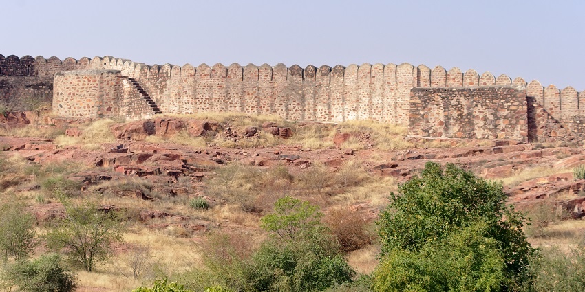 Rao Jodha Desert Rock Park provides walking trails and insights into Rajasthan's desert flora and geology.