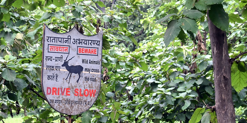 The dense forest area of Ratapani Sanctuary is located near Hazaribagh Wildlife Sanctuary