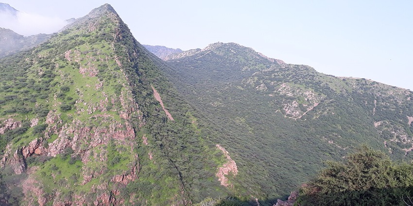 A panoramic view of hills in Udaipur, Rajasthan, showcasing lush greenery under a clear blue sky