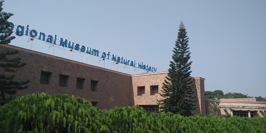 Tall trees and green bushes at Regional Museum of Natural History in Bhubaneswar, Odisha.