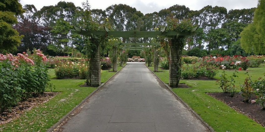 Visiting the majestic Rose Garden is one of the top things to do in Mohali for travellers.