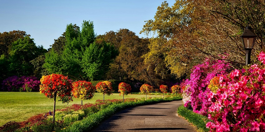 An image of the Phool Bagh, one of the best things to see in Orchha.