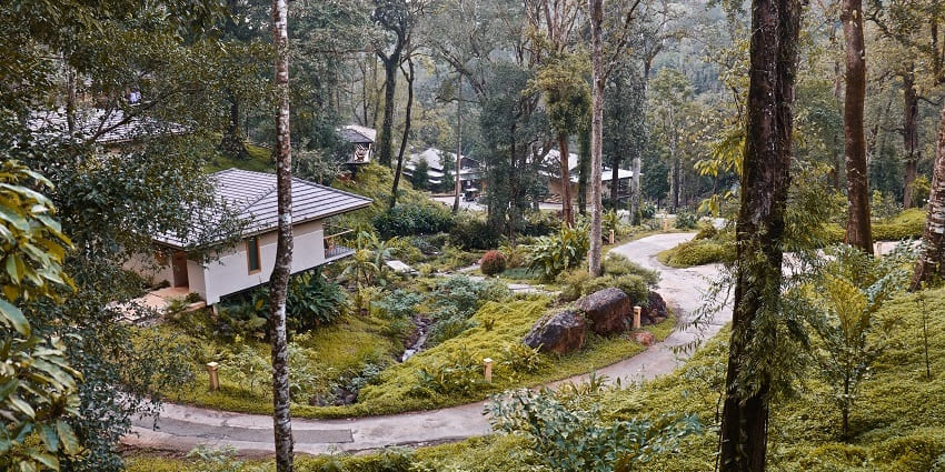 River Tern Lodge near Bhadra wildlife sanctuary offers eco-friendly stays and activities by Bhadra River.