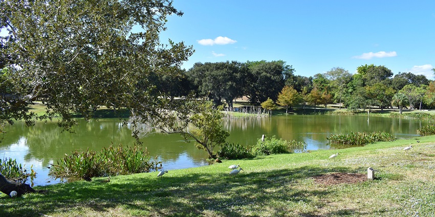 A riverside park, surrounded by lush greenery, offering adrenaline rush experiences
