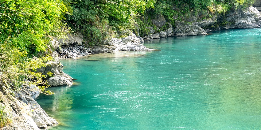 Enjoy a scenic view along the riverside location of the Bandipur Wildlife Sanctuary.