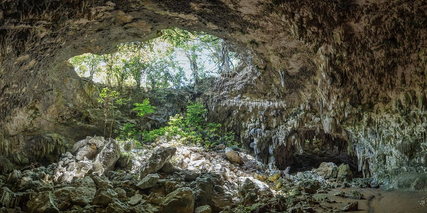 Beautiful views from the inside of the Rivona Caves amidst the lush jungle of Goa