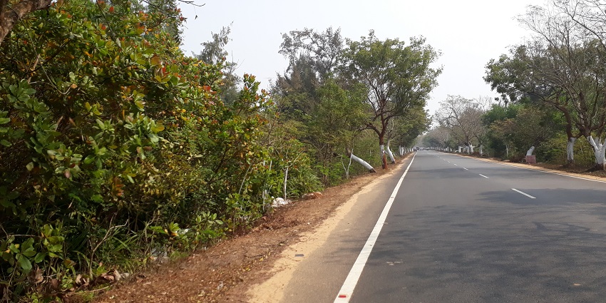 A scenic road passing through the country side of the bhubaneshwar to Puri temple
