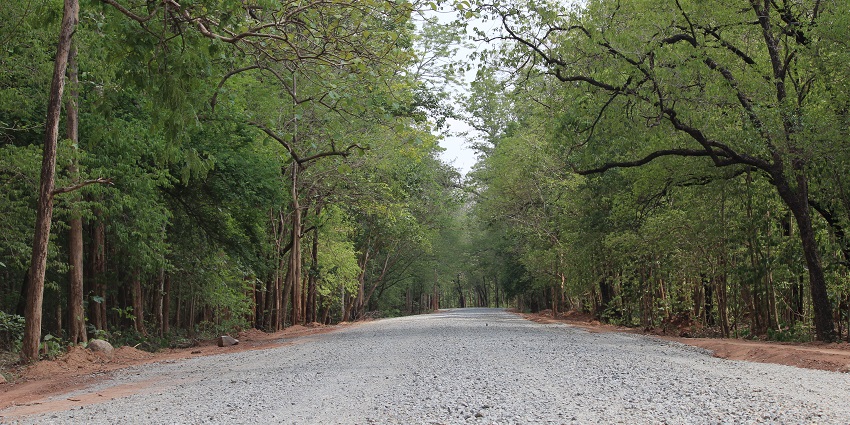 The sanctuary can be reached easily through different modes of transport available.