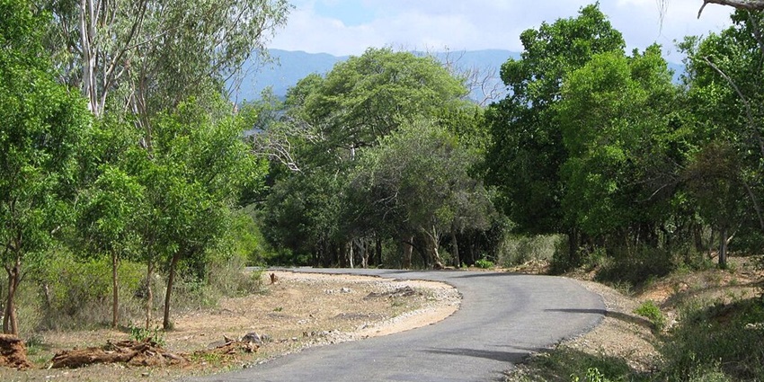 Chail is accessible by road and you can drive here via National Highway 5 (NH5)