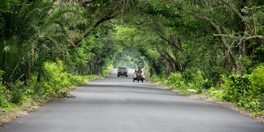 Grey car driving down the middle of a highway, flanked by green trees on both sides.