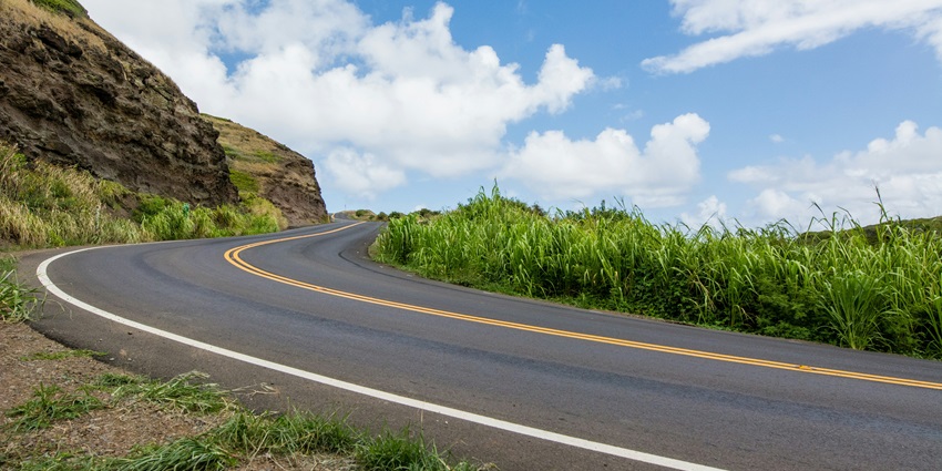 Image of main road: Serene main road lined with trees under a clear blue sky.