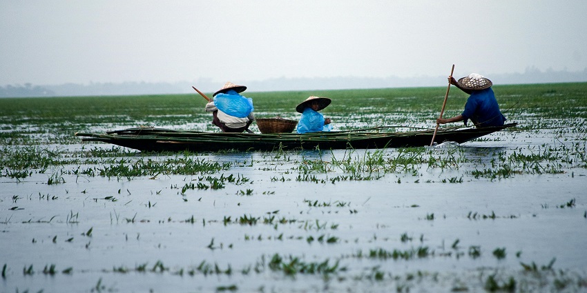 A serenity viewed at the Ropar Wetlands, one of the best places to visit near Chandigarh.