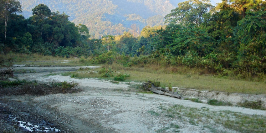 Scenic photo of Royal Manas National Park with lush greenery and hills.