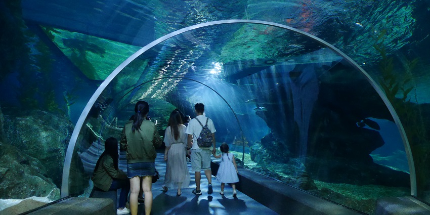 SEA LIFE Bangkok Ocean World is one of the ocean lovers’ paradise under the water.