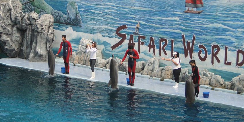 Safari World offers the perfect opportunity for an adventure on Valentine’s Day in Bangkok.