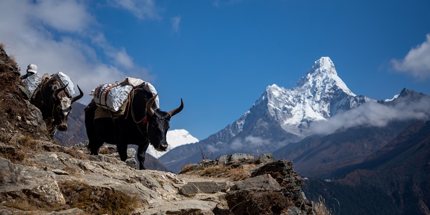 Sagarmatha National Park offers breathtaking views of the world’s highest peaks.
