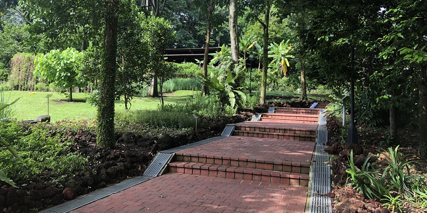 Snapshot of the Sahakari Spice Farm which is located in the protected green belt of Goa