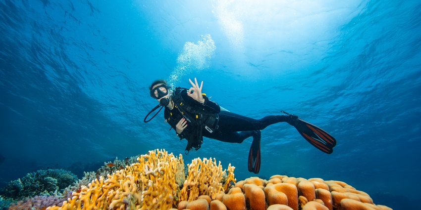 Image of a young woman diver exploring sea bottom. coral reef with colored hard corals and fish