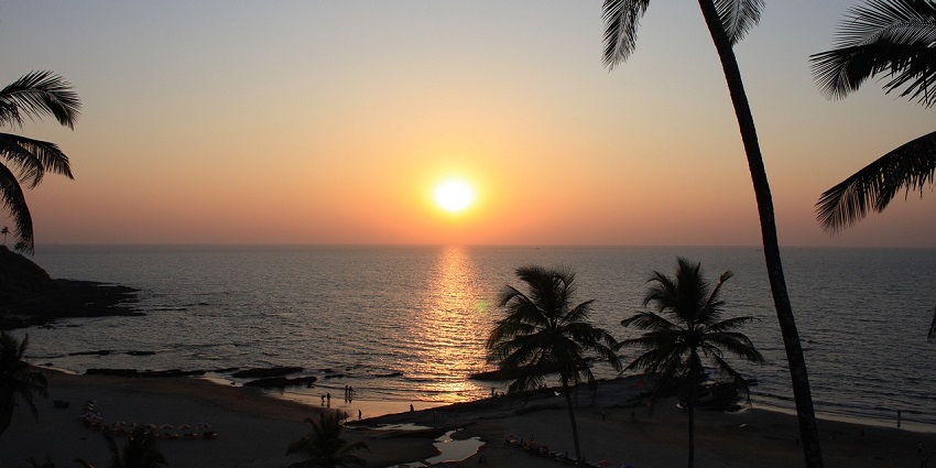 A breathtaking sunset with palm trees silhouetted against the vibrant sky during scuba diving in north Goa.