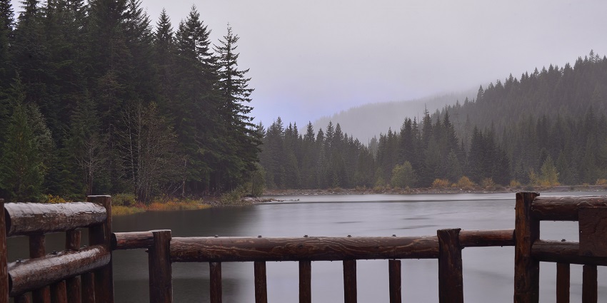 A glimpse of the serene Sakhya Sagar Lake surrounded by lush greenery and tranquil waters.