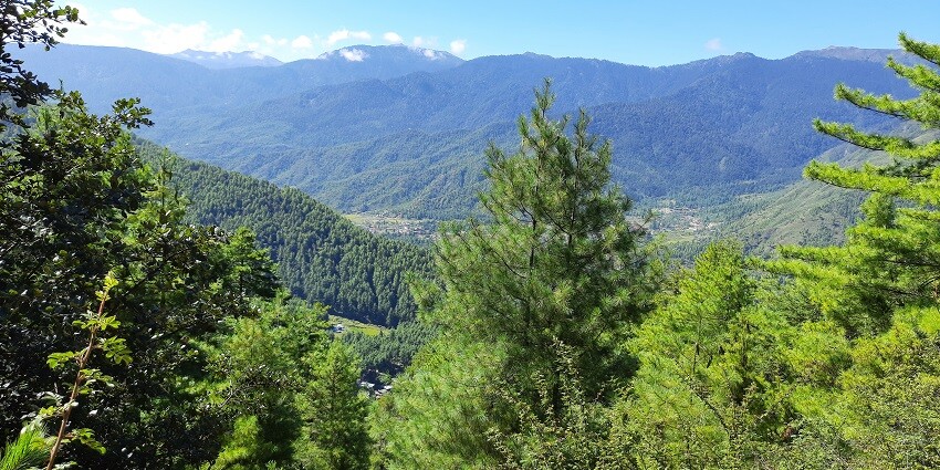 Lush forests of Bhutan resemble the diverse landscape of the beautiful locations near Sakteng Wildlife Sanctuary
