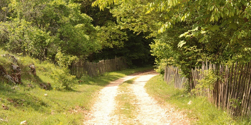Saligao Village is one of the haunted places in Goa with an eerie ambience at night.