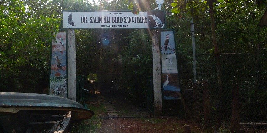 Panoramic view of the beautiful Salim ali bird sanctuary an idyllic place to visit in goa in June