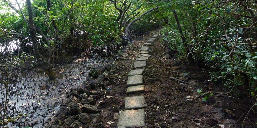 Snapshot of the beautiful Salim ali bird Sanctuary which is one of the best places to visit