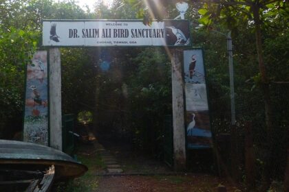 Snapshot of the enternec gate of the salim ali wildlife sanctuary and bird sanctuary in Goa