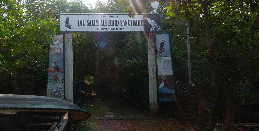 Snapshot of the enternec gate of the salim ali wildlife sanctuary and bird sanctuary in Goa