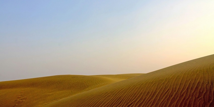 Camels at Sam Sand Dunes in Jaisalmer, one of the popular places to visit in Jaisalmer in October