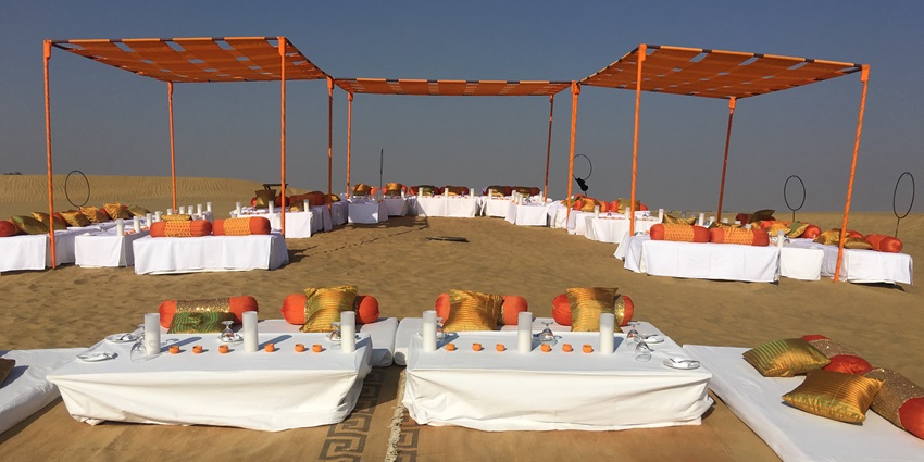 Camels at the iconic Sam Sand Dunes, offering a quintessential desert experience near Jaisalmer.