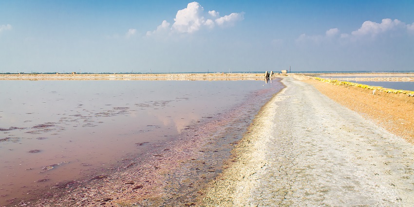 Sambhar Lake is one of the camping sites in Rajasthan that offers stunning views and birdwatching
