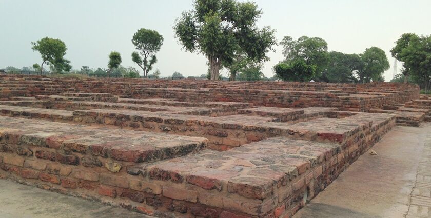 remains of indus valley civilisation at sanghol museum for everyone to visit and explore.