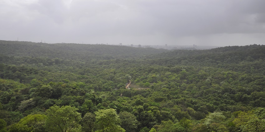 Sanjay Gandhi National Park, one of the best places to visit near Thane offers wildlife, scenic trails, trekking, and picnicking.