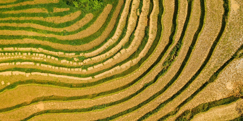 Sapa Rice Field
Alt Text: The scenic mountains of Sapa are popular among visitors seeking places for a Vietnam trip