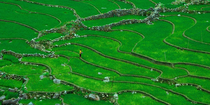 Rice fields in Sapa, Vietnam, the beautiful places to visit in Vietnam in December