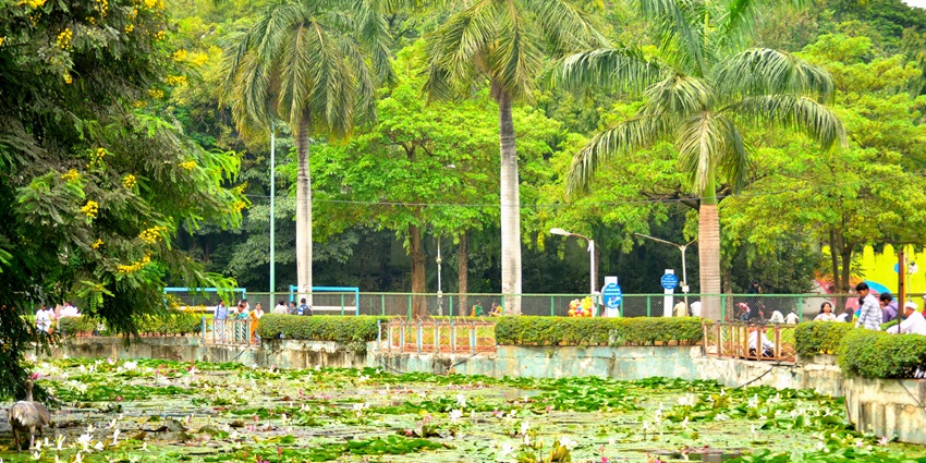Saras Baug features a Ganesh temple and green areas for picnics.