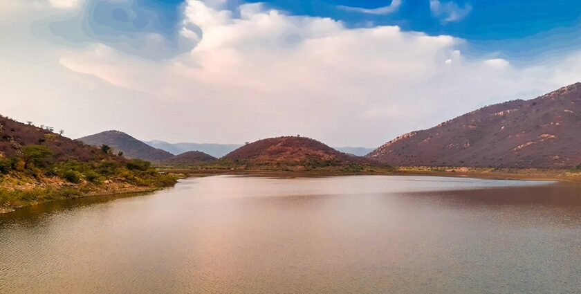 A scenic view of Sariska Reserve, known as one of the best places to visit in Sariska.