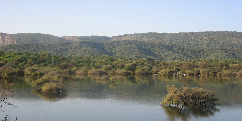 View of a serene lake inside Sariska Tiger Reserve, a popular place to visit near Neemrana