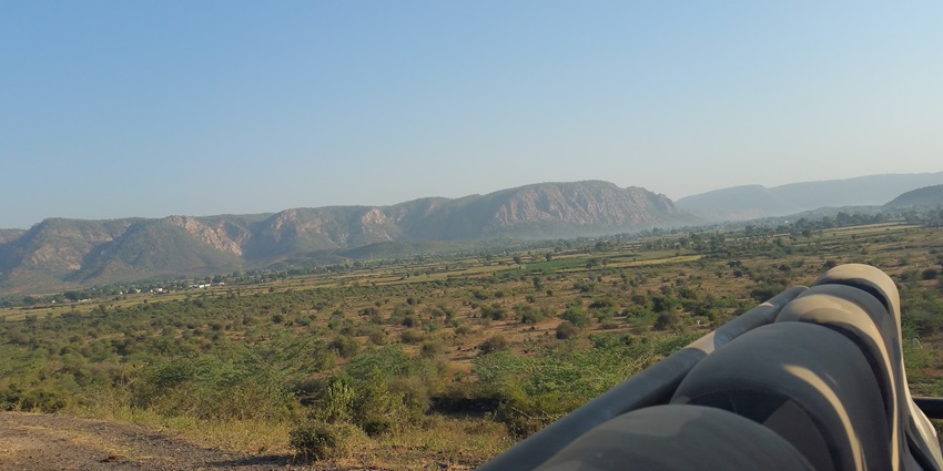Wide view of Sariska Tiger Reserve featuring dense forested landscape, a famous place near Alwar Museum.